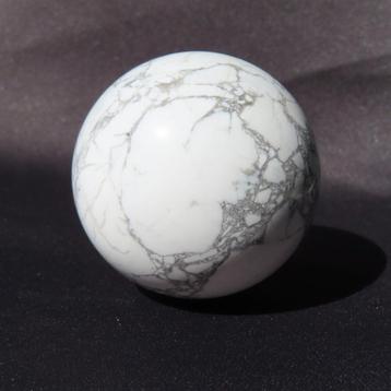 Howliet bol  beschikbaar voor biedingen