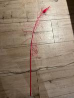 Decoratieve Roze pauwenveer, Ophalen, Zo goed als nieuw