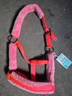 Te koop halster pony nieuw, Ophalen, Nieuw, Overige soorten