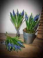 Kunst muscari blauwe druifjes, Ophalen of Verzenden, Nieuw, Binnen