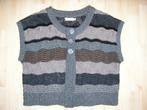 Mouwloos vest van Micha maat 42, Ophalen of Verzenden, Zo goed als nieuw, Maat 42/44 (L)