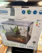 Superfish Qubiq 60 Pro Nieuw In Doos, Dieren en Toebehoren, Vissen | Aquaria en Toebehoren, Ophalen of Verzenden, Nieuw, Leeg aquarium