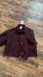 Zara wollen jas maat XS, Kleding | Dames, Ophalen of Verzenden, Nieuw, Maat 34 (XS) of kleiner, Paars