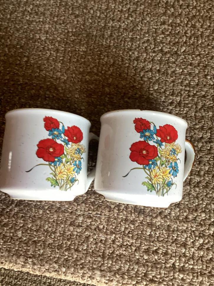 Set van 2 Vintage Kopjes met Bloemen, Huis en Inrichting, Keuken | Servies, Zo goed als nieuw, Kop(pen) en/of Schotel(s), Overige stijlen