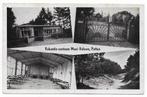 Putten Vakantie centrum Mooi Veluwe Ansichtkaart (B7269 ), Ophalen of Verzenden, 1960 tot 1980, Gelopen, Gelderland