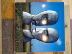 Pink Floyd - The Division Bell, Cd's en Dvd's, Vinyl | Rock, Ophalen of Verzenden, Zo goed als nieuw, 12 inch, Progressive