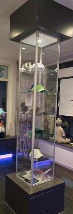 Vitrinekasten op voet/ pilaar/ sokkel (incl. verlichting), Huis en Inrichting, Ophalen, 50 tot 100 cm, Minder dan 100 cm, 25 tot 50 cm