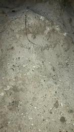 Wit zand, Tuin en Terras, Zand, Ophalen of Verzenden, Ophoogzand