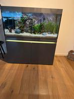 Eheim aquarium, Dieren en Toebehoren, Vissen | Aquaria en Toebehoren, Ophalen, Zo goed als nieuw, Leeg aquarium