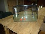 hamster kooi, Dieren en Toebehoren, Kooi, Gebruikt, Minder dan 75 cm, Hamster