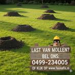 Mollenbestrijding gifloos Wacht niet tot je gazon verpest is, Diensten en Vakmensen, Ongediertebestrijding, Mollen of Woelratten