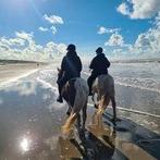 Strandrit IJslands paard, Ophalen, Gebruikt, Recreatie