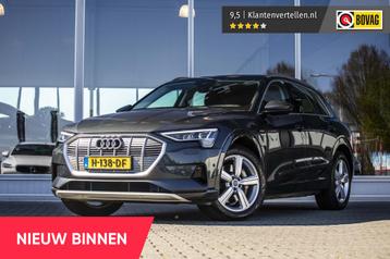 Audi e-tron e-tron 50 quattro Launch edition plus 71 kWh | P beschikbaar voor biedingen