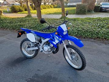 Yamaha dt50r DT 50R NIEUWSTAAT COLLECTORSITEM 100% origineel beschikbaar voor biedingen