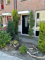 Binnen & buitenschilderwerk Regio westfriesland