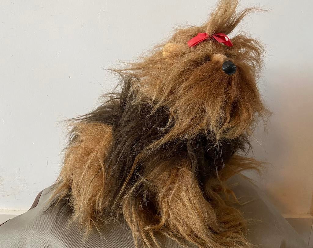 Steiff Yorkshire terrier Taffy, 4192/25, Ophalen of Verzenden