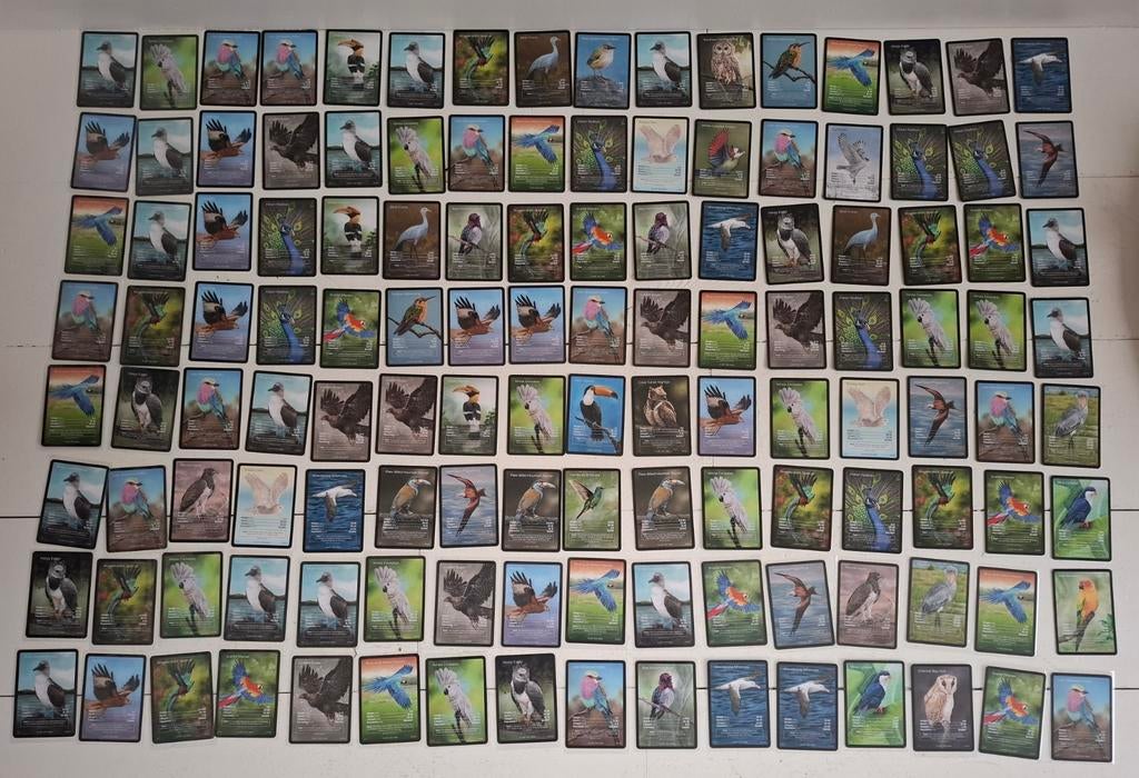 Life TCG Full art, Ophalen of Verzenden, Nieuw, Losse kaart
