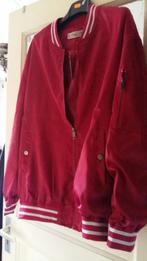 Nieuw! rood bomber model jas met zilveren glitter bies, Kleding | Dames, Jasjes, Kostuums en Pakken, Maat 38/40 (M), Nieuw, Ophalen of Verzenden