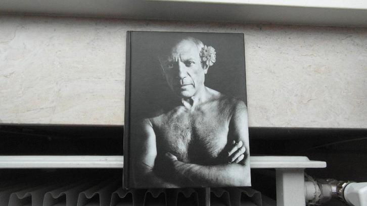 PICASSO - Portretten, fotoboek, nieuw, Boeken, Kunst en Cultuur | Fotografie en Design, Nieuw, Fotografen, Ophalen of Verzenden