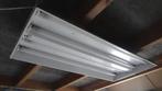 Twee TL armaturen (inclusief 4 en 2 lampen), Ophalen