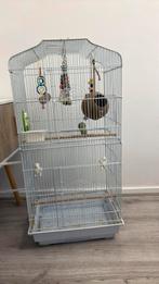 Grote vogelkooi, Dieren en Toebehoren, Ophalen of Verzenden, Gebruikt, Metaal, Vogelkooi