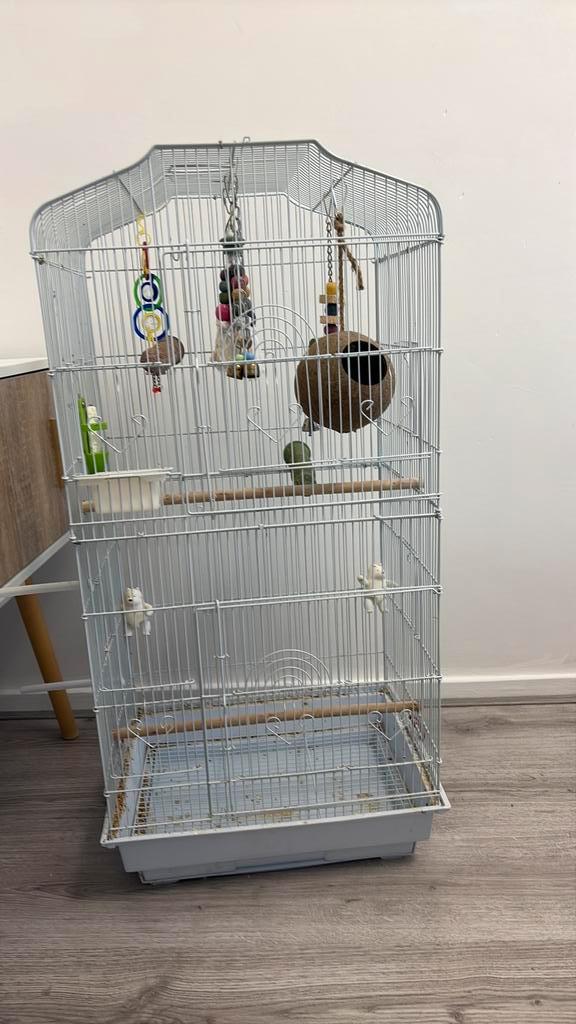 Grote vogelkooi, Dieren en Toebehoren, Vogels | Hokken en Kooien, Gebruikt, Vogelkooi, Metaal, Ophalen of Verzenden