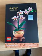 Lego botanical mini orchidee 10343 NIEUW, Kinderen en Baby's, Speelgoed | Duplo en Lego, Ophalen of Verzenden, Nieuw