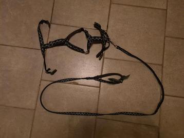 Hurtta y tuig plus riem beschikbaar voor biedingen