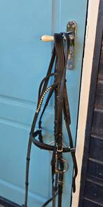 Hoofdstel, Dieren en Toebehoren, Paarden en Pony's | Hoofdstellen en Tuigage, Ophalen of Verzenden, Gebruikt, Recreatie