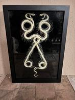 Mooie grote lijst met twee slangenskeletten, Ophalen of Verzenden, Nieuw, Reptiel of Amfibie, Schedel