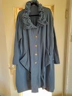 Aparte Moonshine ballonjas tussenjas ALijn Grijsblauw, Kleding | Dames, Grote Maten, Ophalen of Verzenden, Zo goed als nieuw, Groen