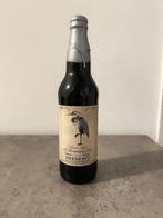 11th Anniversary Stout (2020) - Fremont, Ophalen of Verzenden, Nieuw, Flesje(s), Overige merken
