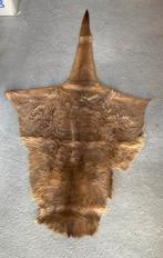 Antieke kangoeroe huid 1900, Ophalen of Verzenden, Zo goed als nieuw, Rechthoekig