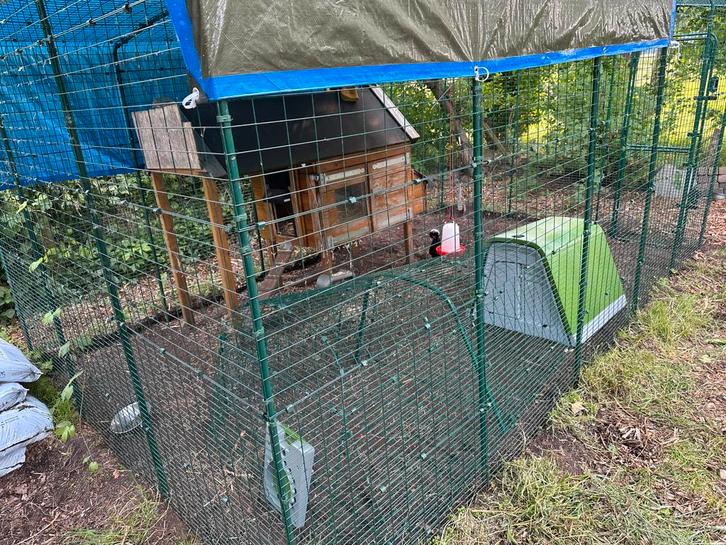 Konijnenhok Omlet Eglu Go met 2 meter ren, Dieren en Toebehoren, Knaagdieren en Konijnen | Hokken en Kooien, Zo goed als nieuw