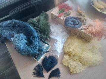 Lotje antieke struisvogel veren en accessoires  beschikbaar voor biedingen