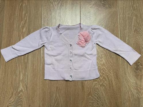 Young Dimension vest roze maat 80, Kinderen en Baby's, Babykleding | Maat 80, Gebruikt, Meisje, Truitje of Vestje, Ophalen of Verzenden