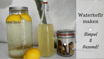 Waterkefir het gezondste drankje beschikbaar voor biedingen