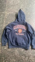 Cambridge hoodie, Ophalen of Verzenden, Zo goed als nieuw, Jongen of Meisje, Trui of Vest