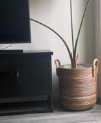 Rotan plantenmand Intratuin, Ophalen, Zo goed als nieuw, Rond, Riet