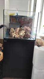 Red sea reefer 170 l, Dieren en Toebehoren, Vissen | Aquaria en Toebehoren, Ophalen of Verzenden, Zo goed als nieuw, Leeg aquarium