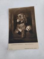 "DIGNITY AND IMPUDENCE"  SIR EDWIN LANDSEER, Ophalen of Verzenden, Voor 1920, Sterren en Beroemdheden