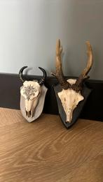 Skull, Huis en Inrichting, Woonaccessoires | Overige, Ophalen, Zo goed als nieuw