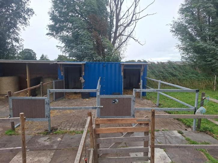 Containerstal Te Huur met uitloop in Pijnacker, Dieren en Toebehoren, Stalling en Weidegang, Stalling, 1 paard of pony