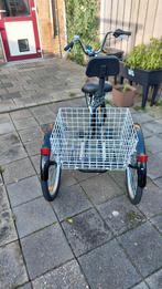 Nieuwe Seastone Driewieler Fiets voor Volwassenen, Ophalen, Nieuw, Seastone, Verstelbare zitting