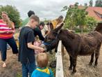 Camping Zomersbuiten in Oude Pekela, Wasmachine, Landelijk