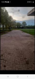 Paarden, Dieren en Toebehoren, Stalling en Weidegang, Weidegang