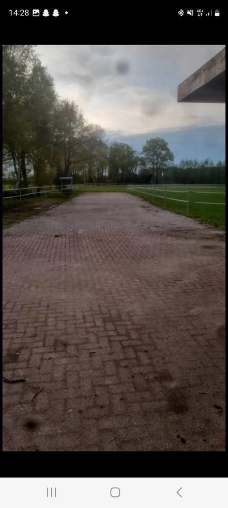 Paarden, Dieren en Toebehoren, Stalling en Weidegang, Weidegang