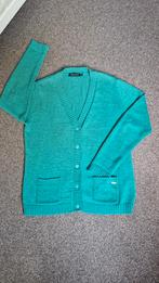 Roberto Sarto vest maat 44, Kleding | Dames, Truien en Vesten, Maat 42/44 (L), Ophalen of Verzenden, Zo goed als nieuw, Roberto Sarto