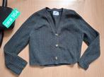 Grijze vest zara 164, Meisje, Trui of Vest, Ophalen of Verzenden, Zo goed als nieuw