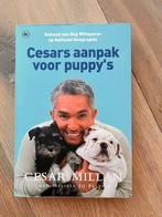 Cesar Millan - Cesars aanpak voor puppy's, Honden, Nieuw, Cesar Millan, Ophalen of Verzenden